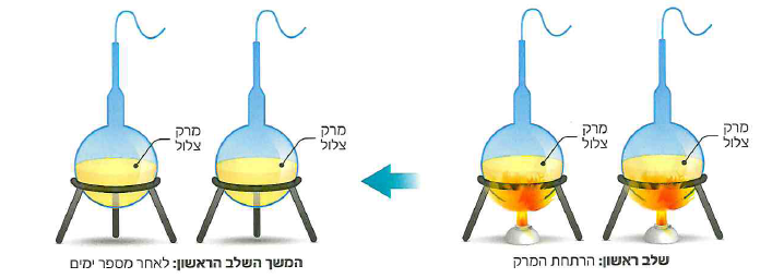 (בספר איור)